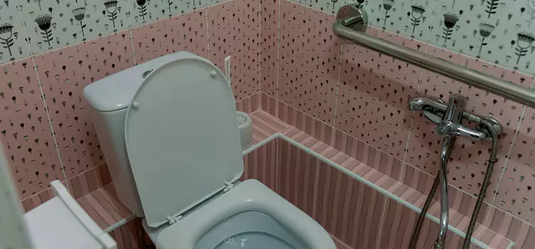 Meeting Diverse Needs With Accessible Restroom Solutions in Fort McMurray, AB